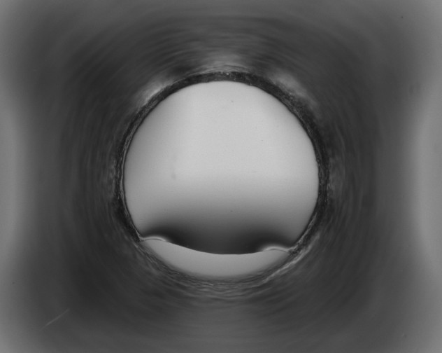 X0000083071313200703022148