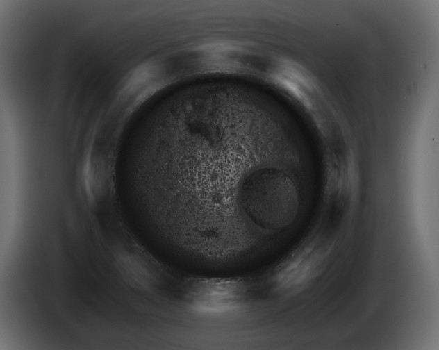 X0000083071314200703022148
