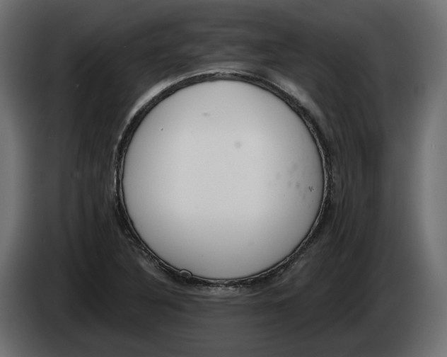 X0000083071316200703022148