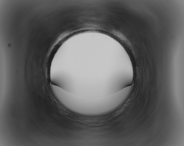 X0000083071318200703022148