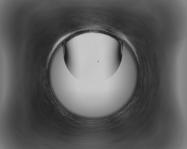X0000083071320200703022148