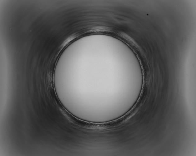 X0000083071321200703022148