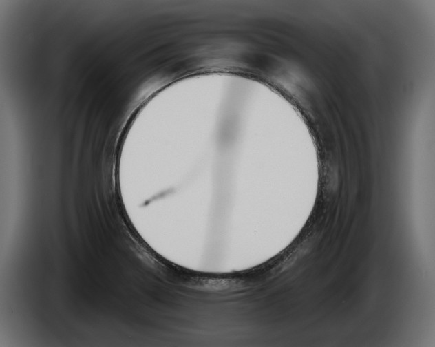 X0000083071322200703022148