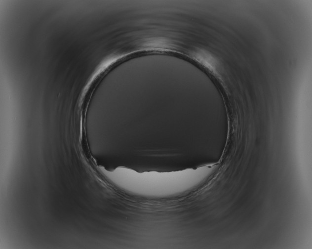 X0000083071323200703022148