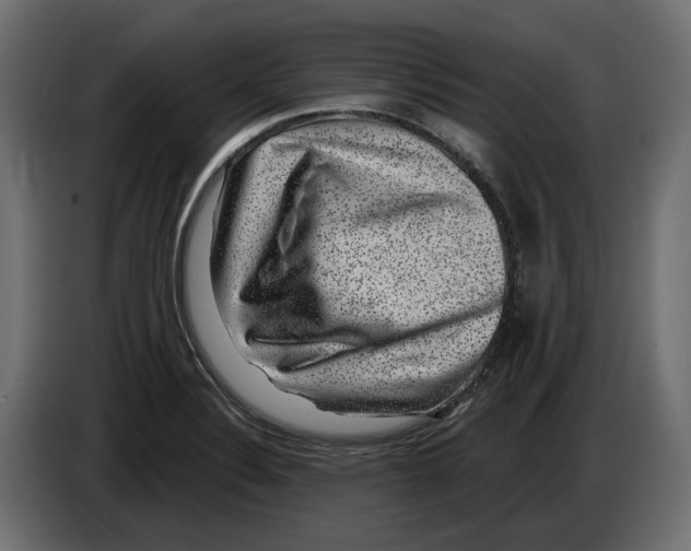 X0000083071324200703022148