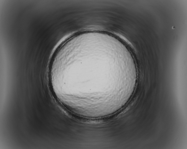 X0000083071325200703022148