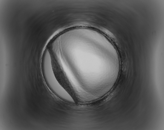 X0000083071326200703022148