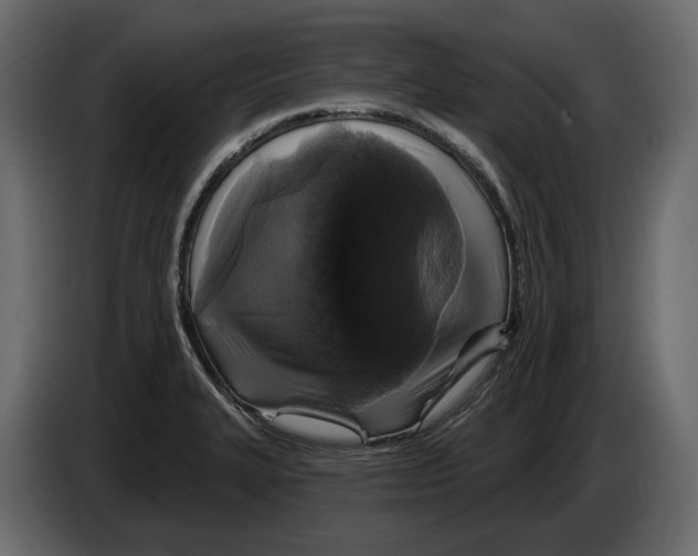 X0000083071327200703022148