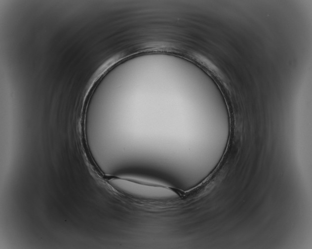 X0000083071330200703022148