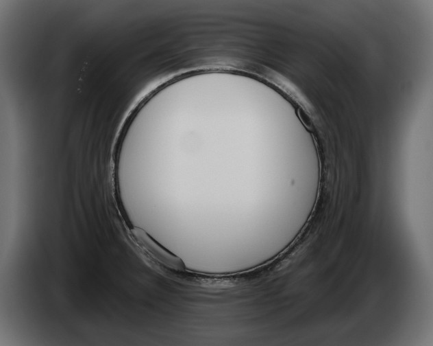 X0000083071332200703022148