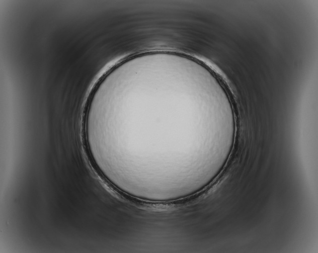 X0000083071333200703022148