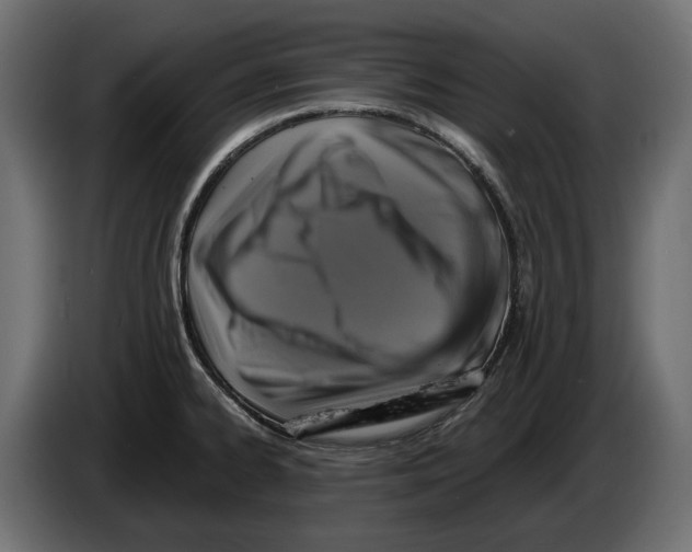 X0000083071334200703022148