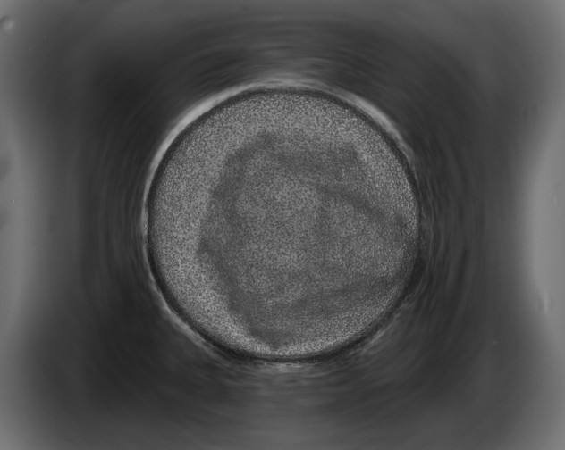 X0000083071335200703022148