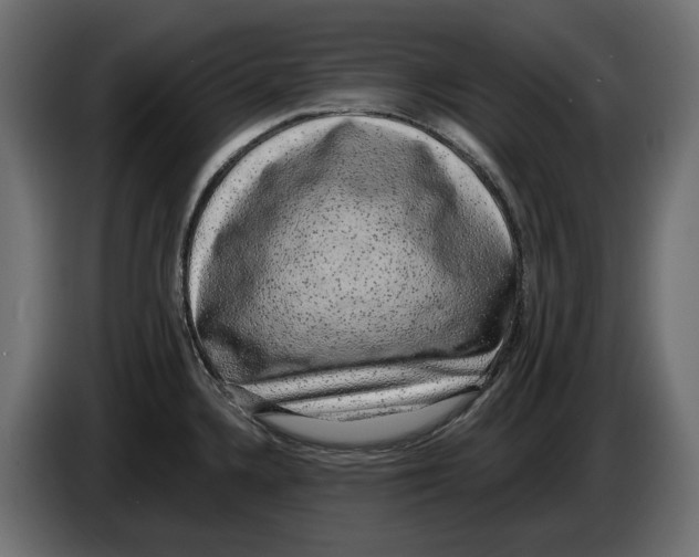 X0000083071336200703022148