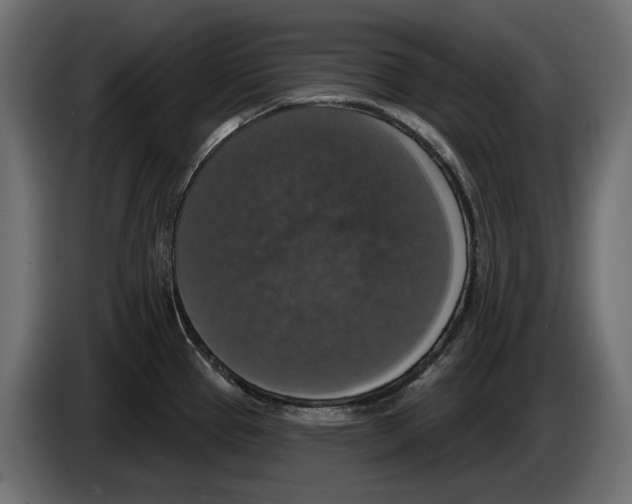 X0000083071337200703022148