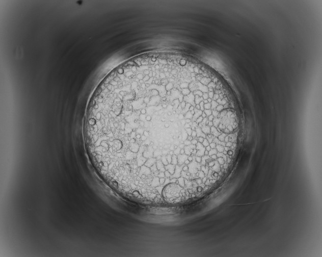 X0000083071338200703022148
