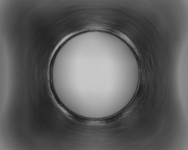 X0000083071339200703022148