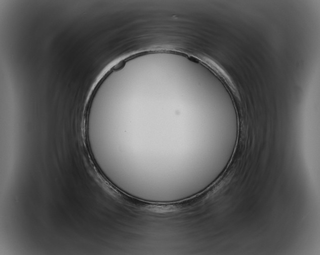 X0000083071340200703022148