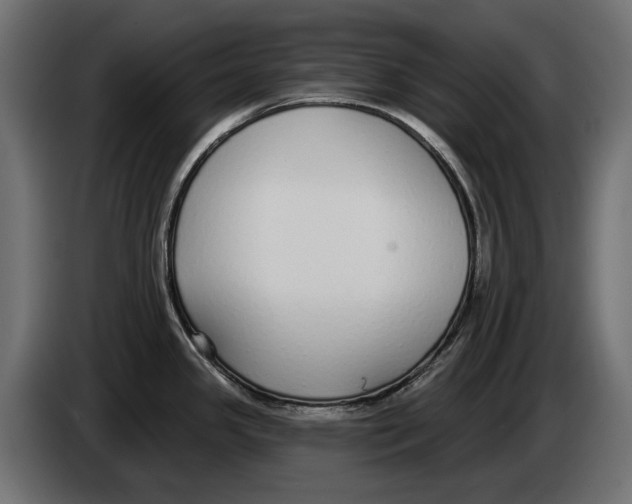 X0000083071341200703022148