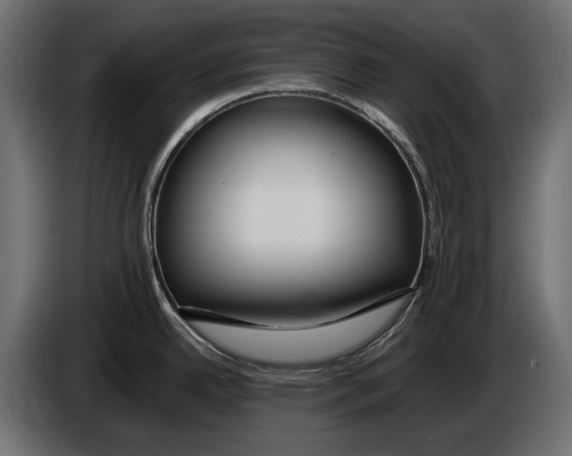 X0000083071342200703022148