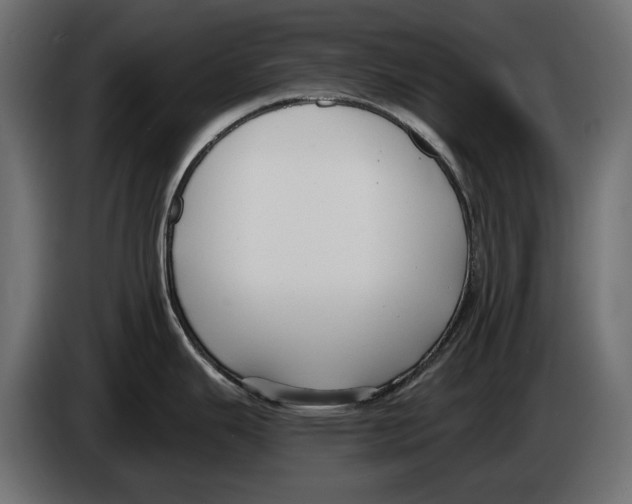 X0000083071343200703022148