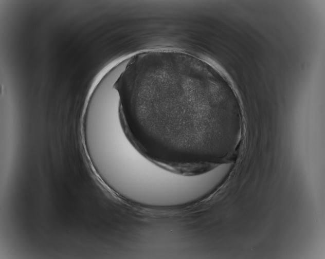 X0000083071344200703022148