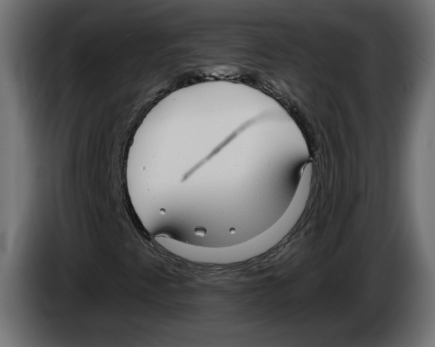 X0000083071345200703022147