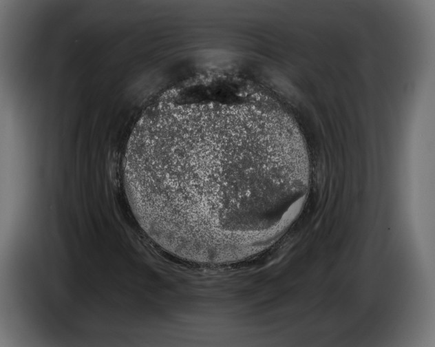 X0000083071346200703022147