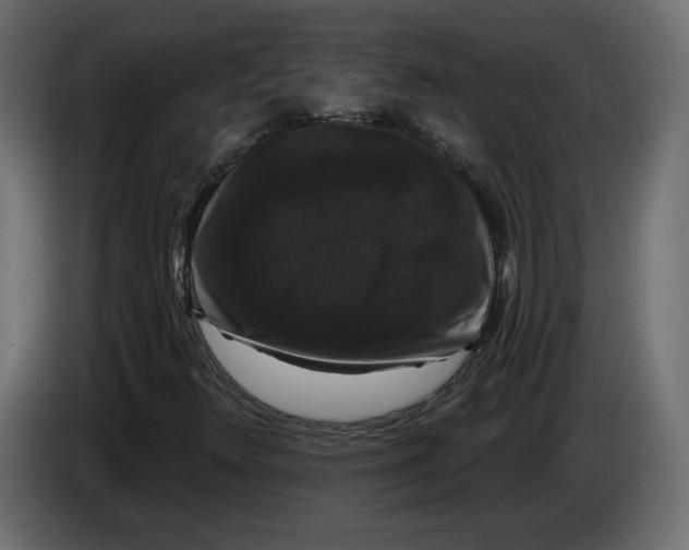 X0000083071348200703022147