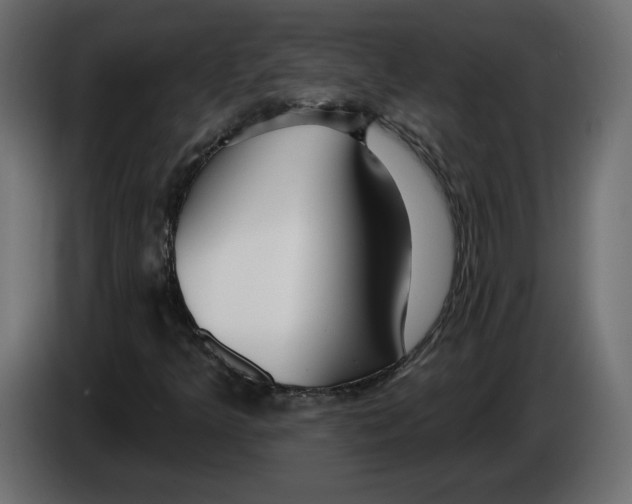 X0000083071349200703022147