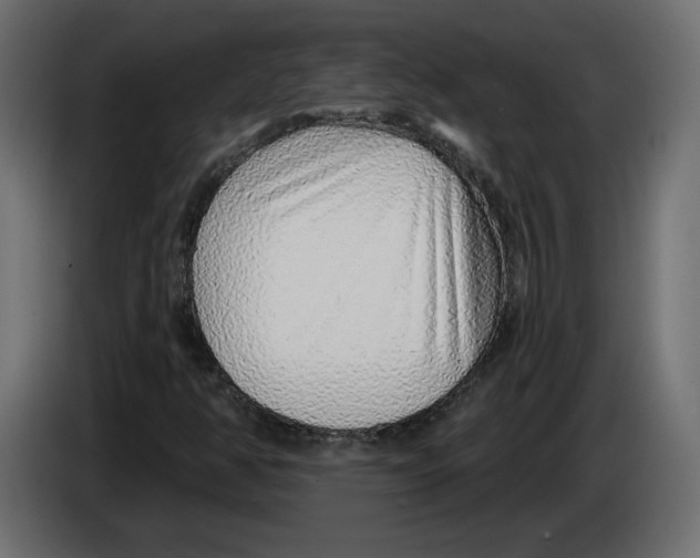 X0000083071350200703022147