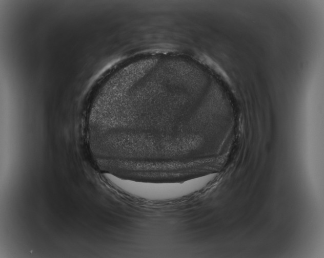 X0000083071352200703022147