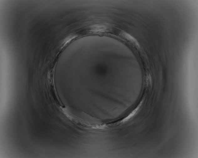 X0000083071353200703022147