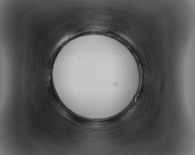 X0000083071355200703022147