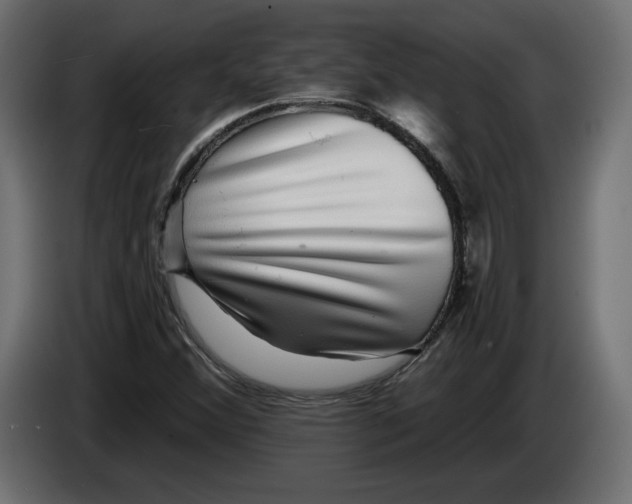 X0000083071356200703022147