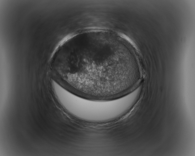 X0000083071357200703022147