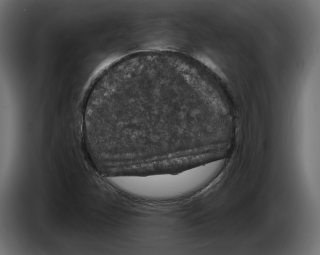 X0000083071358200703022147
