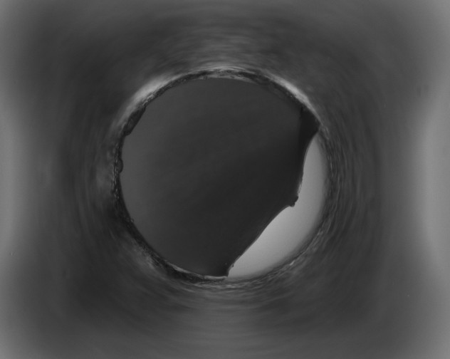 X0000083071359200703022147