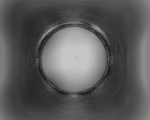 X0000083071360200703022147