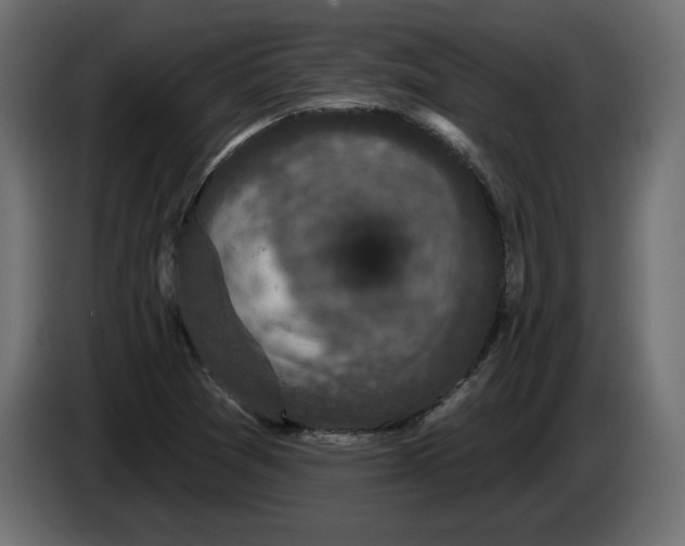 X0000083071361200703022147