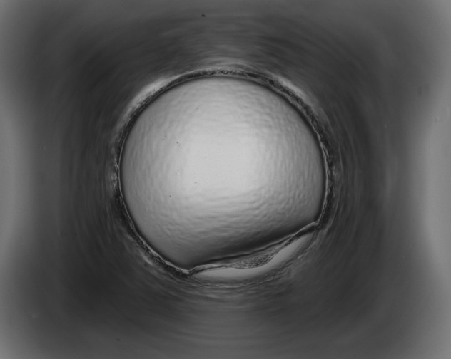 X0000083071363200703022147