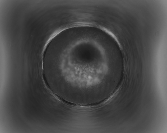 X0000083071365200703022147