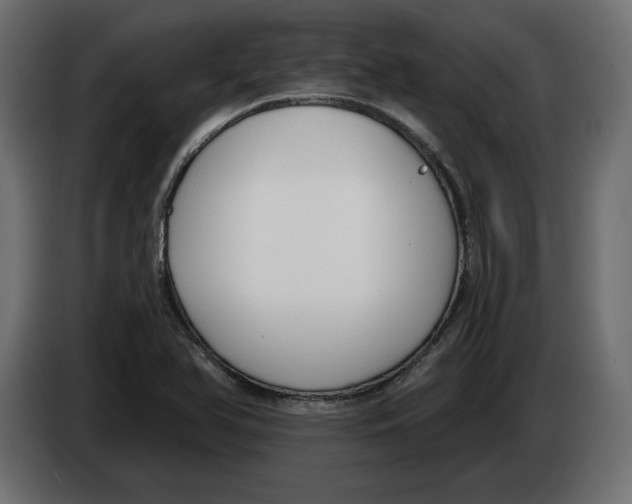 X0000083071366200703022147