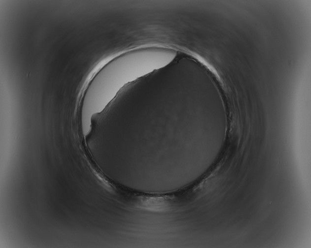 X0000083071367200703022147