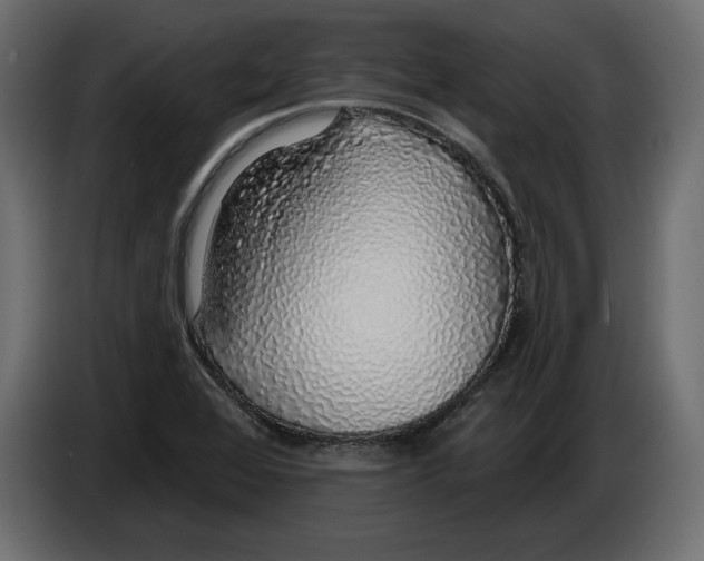 X0000083071368200703022147