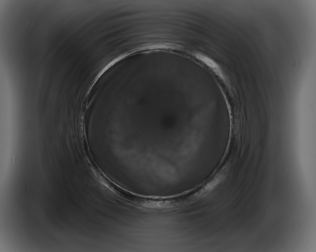 X0000083071369200703022147