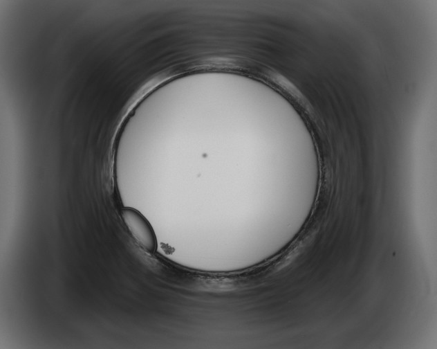 X0000083071370200703022147