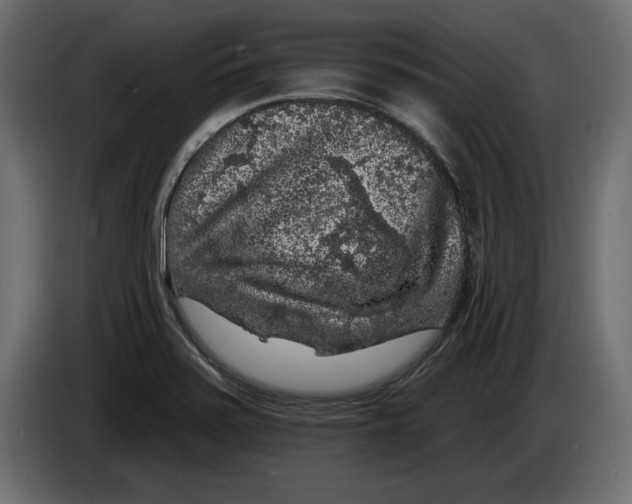 X0000083071371200703022147
