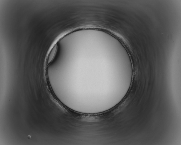 X0000083071374200703022147