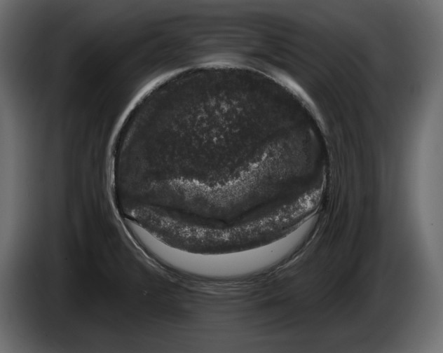 X0000083071376200703022147